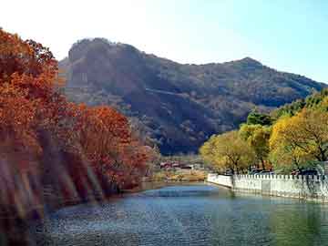 澳門精準(zhǔn)免費(fèi)大全鳳凰網(wǎng)9626——探索澳門4949彩票的秘密，澳門彩票探索之旅，揭秘澳門精準(zhǔn)免費(fèi)鳳凰網(wǎng)鳳凰網(wǎng)彩票秘籍