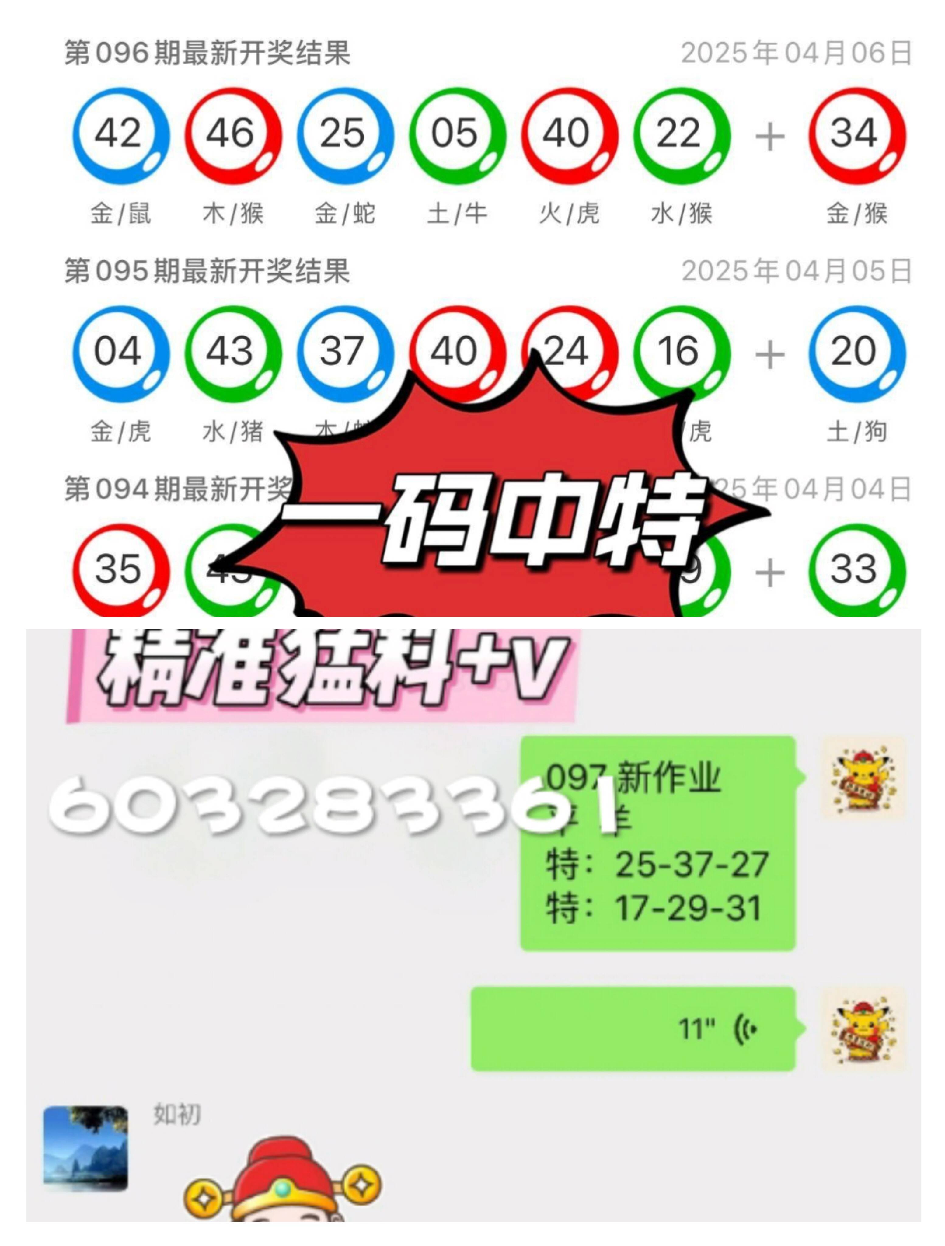 探索未來(lái)，2025新澳門九肖展望，2025新澳門九肖展望，探索未來(lái)之路