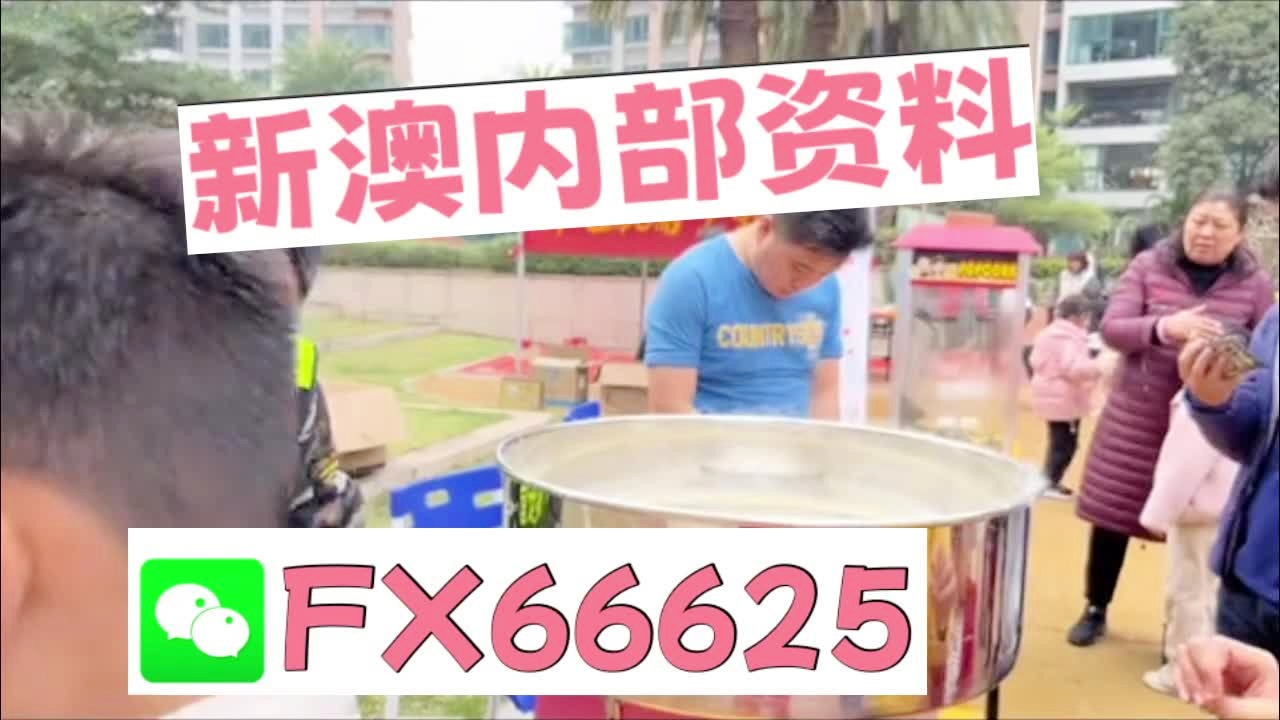 新奧2025正版資料大全，全面解析與深度探索，新奧2025正版資料大全，全面解析與深度探索揭秘