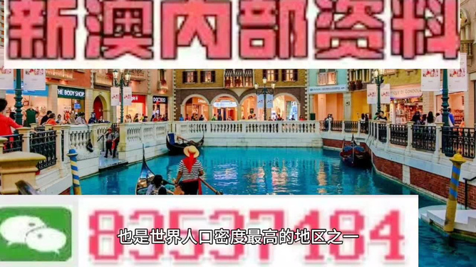 澳門王中王正版游戲，探索未來的新篇章（2025年展望），澳門王中王正版游戲，探索未來新篇章，展望2025年發(fā)展