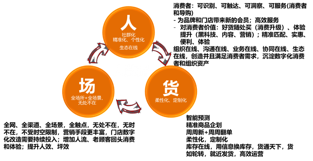 揭秘精準四肖預測技巧——探索7777788888的魅力世界，揭秘精準四肖預測技巧，探索神秘數(shù)字組合的魅力世界