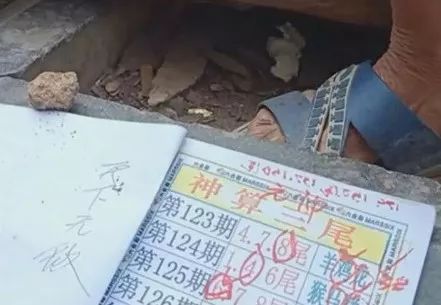 香港中特期期準(zhǔn)資料，深度解析與探索，香港中特期期準(zhǔn)資料深度解析與探索報(bào)告