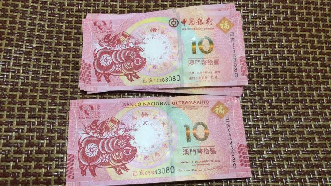 新澳門生肖走勢(shì)圖，深度解析與預(yù)測(cè)，澳門生肖走勢(shì)圖深度解析及預(yù)測(cè)報(bào)告