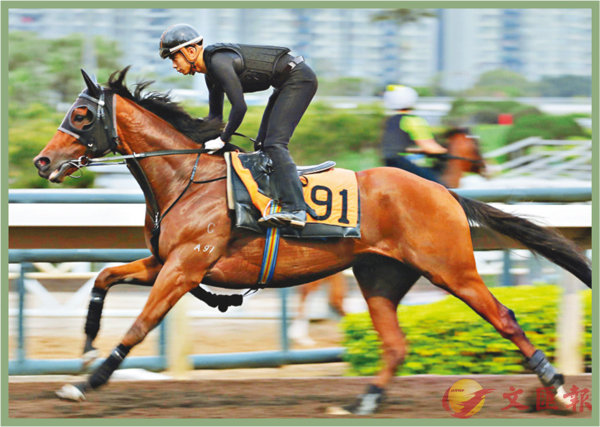 香港賽馬，探索數(shù)字背后的激情與榮耀，香港賽馬，數(shù)字背后的激情與榮耀之旅