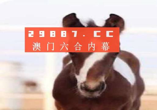澳門一肖一碼一待一中資料，深度解析與探索，澳門一肖一碼深度解析與探索揭秘資料
