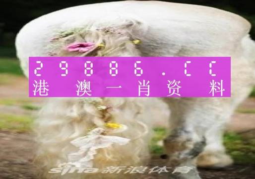 澳門羊了個羊與各大圖庫的資料揭秘，2023年澳門今晚必中一肖一碼永久免費資料庫大解密，澳門羊了個羊與資料庫揭秘，2023年必中一肖一碼永久免費資料大解密