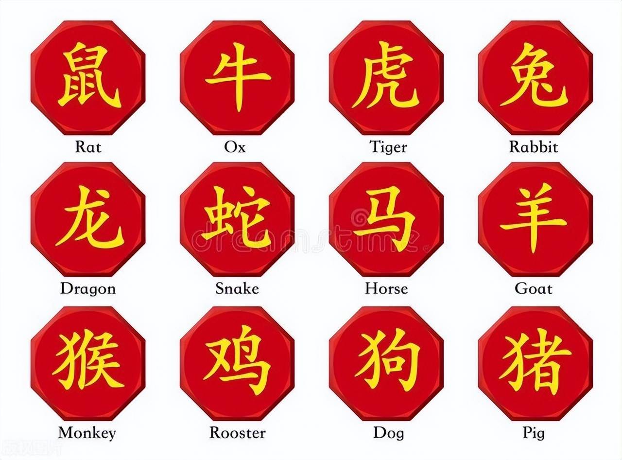 新澳特碼，羊?；⒏鲾?shù)10——揭秘背后的數(shù)字奧秘，揭秘新澳特碼數(shù)字奧秘，羊牛虎各數(shù)背后的秘密