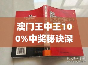 新澳門王中王期期中，探索與解析，新澳門王中王期期中，深度探索與解析