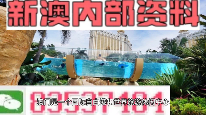 新澳的資料去哪里找——全面指南，新澳資料全攻略，尋找資料的途徑與指南