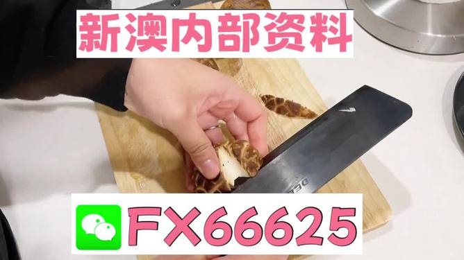 澳門九點(diǎn)半9點(diǎn)半網(wǎng)站——探索其魅力與優(yōu)勢，澳門九點(diǎn)半網(wǎng)站，魅力與優(yōu)勢探索