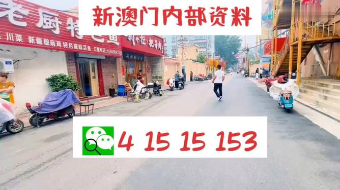 探索未來，新澳門天天開好彩的2025展望，未來展望，新澳門2025年天天彩彩紛呈的探索之路