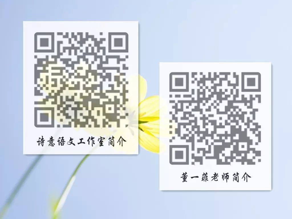 一碼一肖一特一，揭秘背后的秘密與獨特之處，揭秘一碼一肖一特一的獨特之處與背后秘密