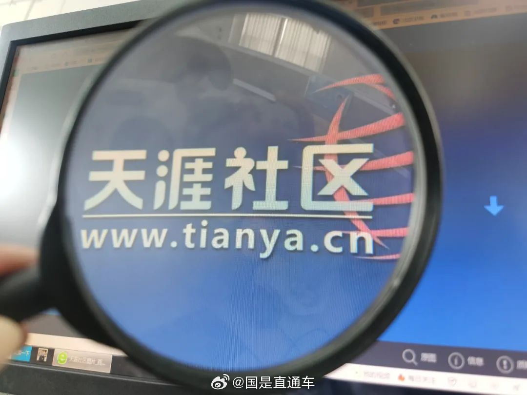 天涯國際觀察，全球視野下的深度分析與洞察，全球深度洞察，天涯國際觀察分析