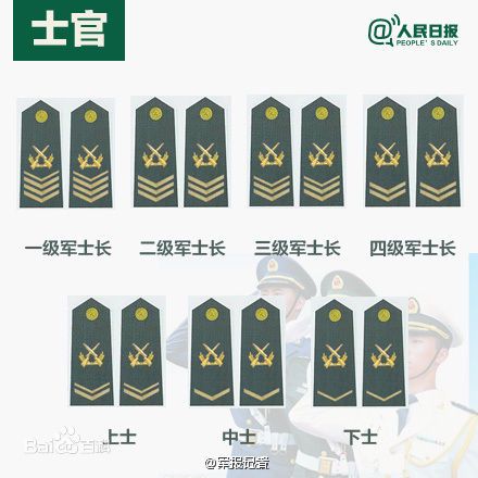 全球各國(guó)軍士長(zhǎng)軍銜對(duì)照表及其重要性，全球各國(guó)軍士長(zhǎng)軍銜對(duì)照表，揭示其重要性