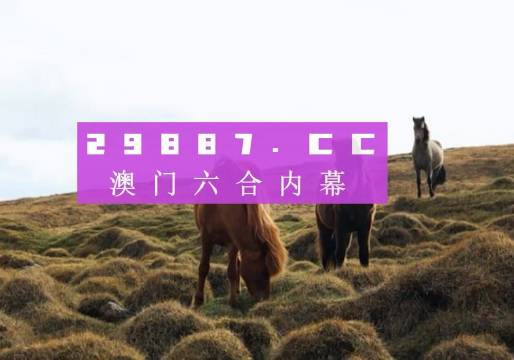 今晚新澳門(mén)開(kāi)獎(jiǎng)結(jié)果查詢9，全面解析與實(shí)用指南，澳門(mén)今晚開(kāi)獎(jiǎng)結(jié)果查詢9，全面解析與實(shí)用指南
