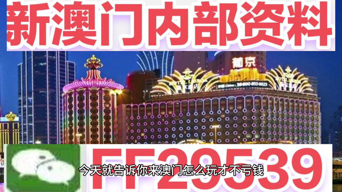 澳門今晚必開一肖一特，揭秘生肖彩票的魅力與策略，澳門生肖彩票揭秘，必開一肖一特的魅力與策略