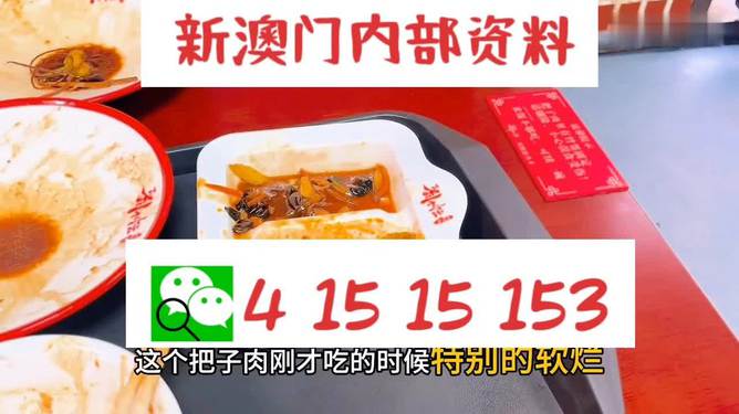 澳門王中王六碼新澳門，探索與解析，澳門王中王六碼新澳門，深度探索與解析