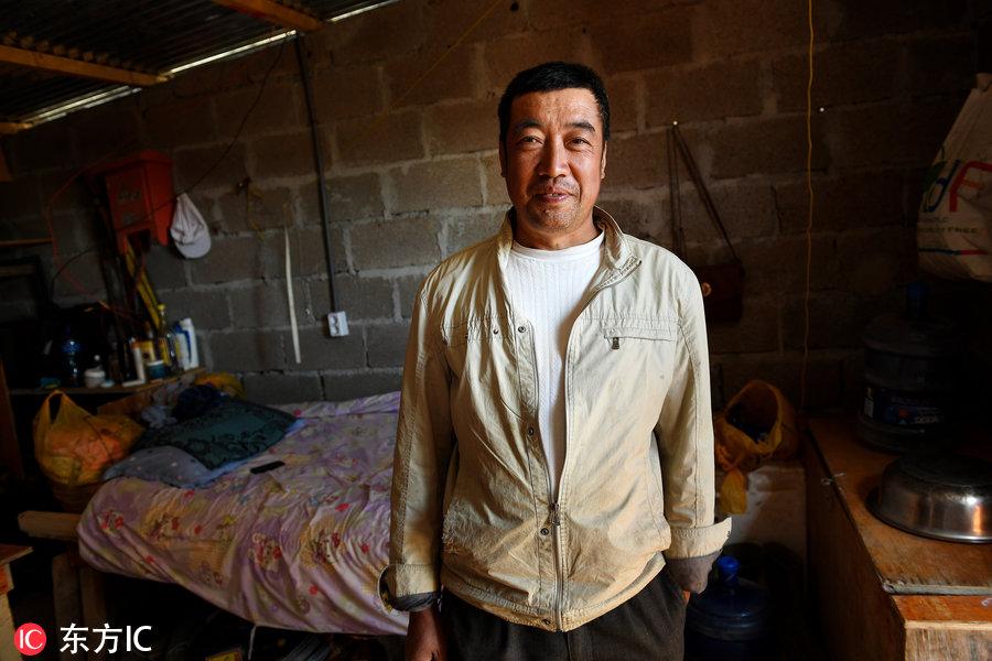 博科圣地組織，深度解析與理解，博科圣地組織深度解析與探究