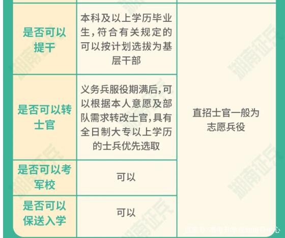 士官直招與義務(wù)兵的區(qū)別，深入了解軍隊(duì)招募制度，直招士官與義務(wù)兵招募制度深度解析，軍隊(duì)招募制度詳解