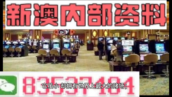新澳門最精準(zhǔn)——探索澳門的精準(zhǔn)旅游體驗，澳門精準(zhǔn)旅游探索，深度體驗澳門的獨(dú)特魅力