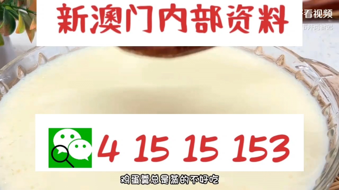 新澳門中特網(wǎng)中特馬，探索與解析，澳門中特馬探索與解析指南