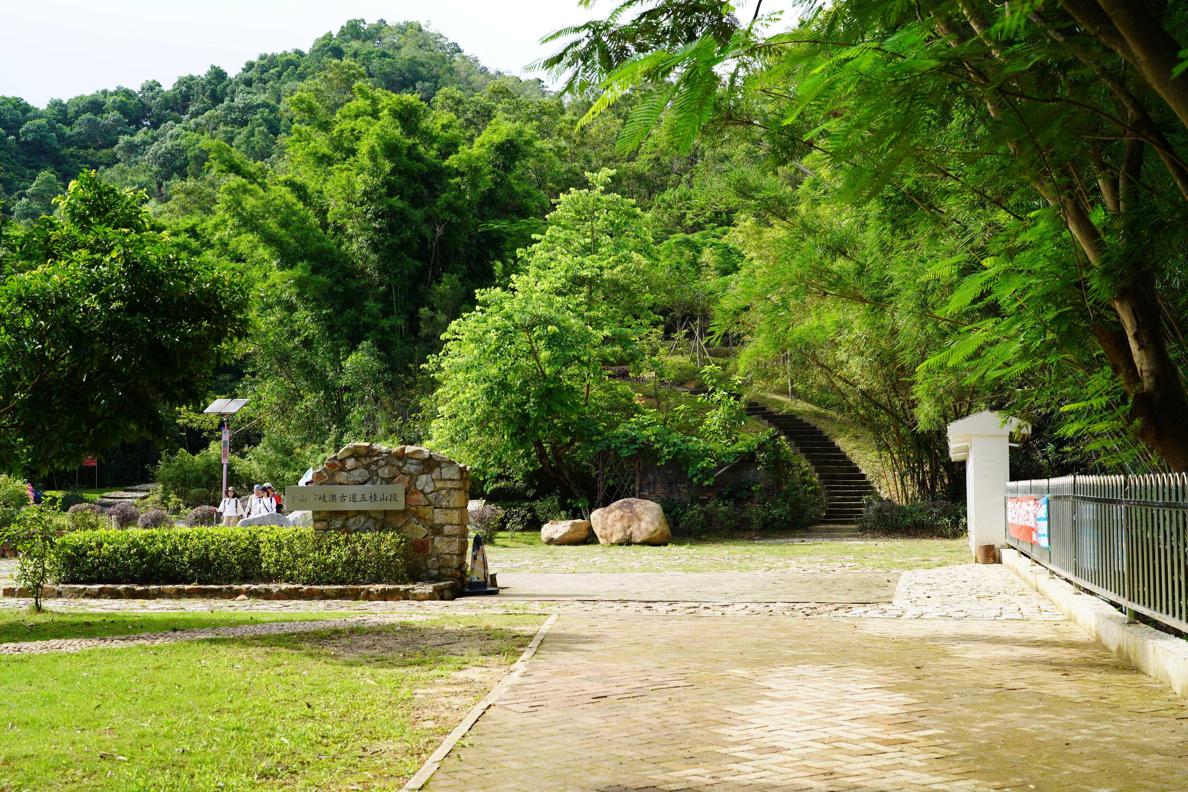 新澳門波色走勢(shì)圖表大全，深度解析與預(yù)測(cè)，澳門波色走勢(shì)圖表解析與預(yù)測(cè)大全