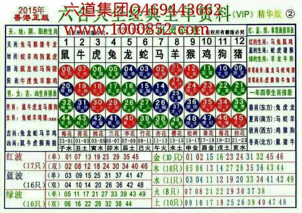 揭秘2024十二生肖49碼表——完整指南，揭秘十二生肖49碼表全攻略，2024年最新版指南