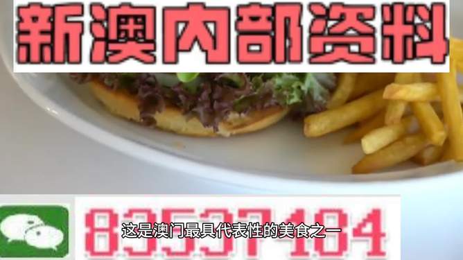 新澳2024生肖最新資料解析與預(yù)測，新澳2024生肖解析與預(yù)測報告