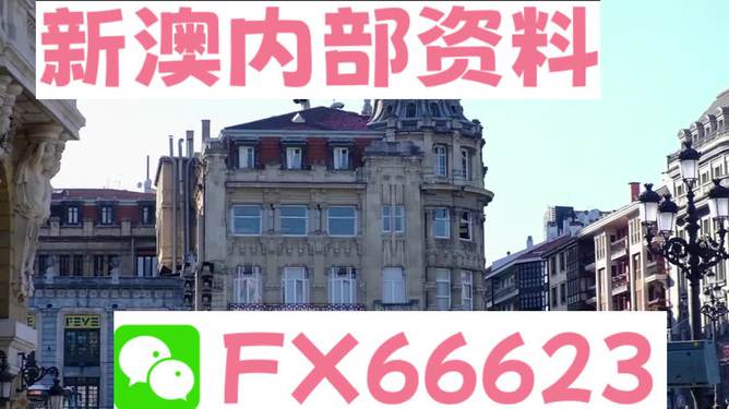 澳門六資料大全，深度探索與揭秘，澳門六資料大全，深度探索與揭秘之旅