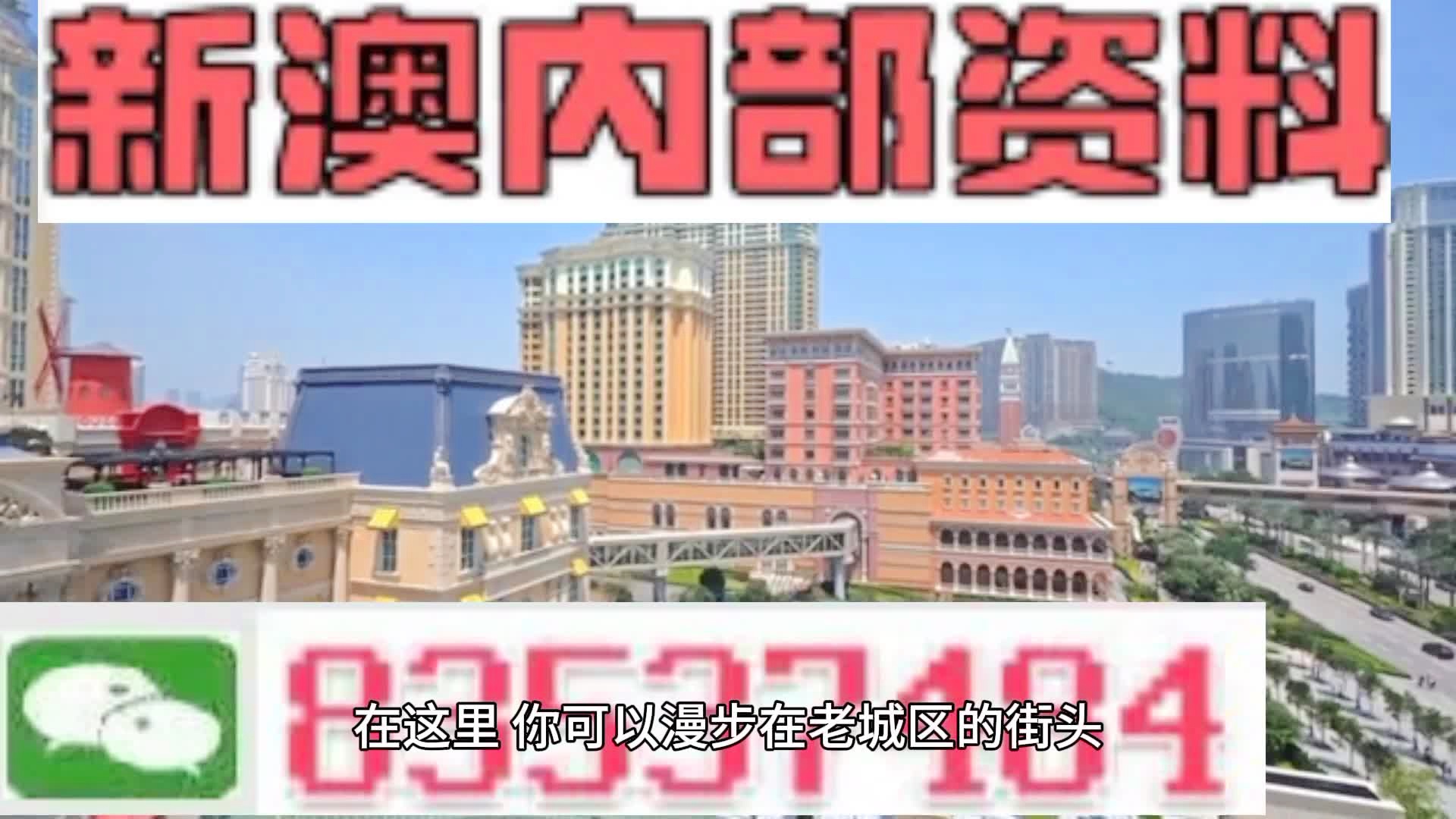 新澳門期期準(zhǔn)精準(zhǔn)，探索澳門的未來與SEO策略，澳門未來展望與SEO策略探索，精準(zhǔn)瞄準(zhǔn)新機(jī)遇