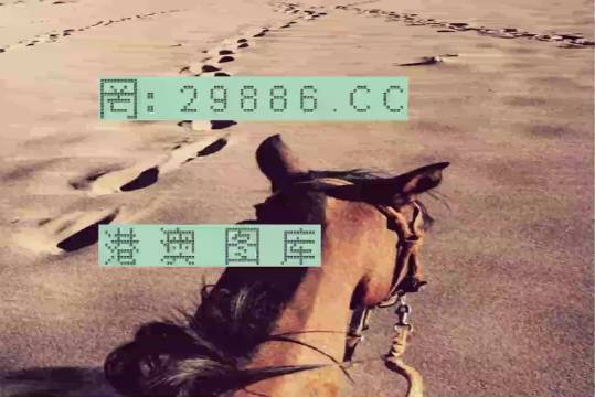 香港特馬資料王中王24期，深度解析與探索，香港特馬資料王中王深度解析與探索，第24期探索之旅