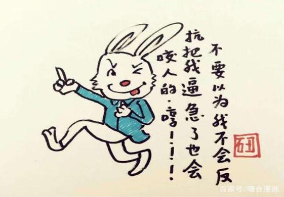 一肖不中賠多少倍，深度解析與策略建議，一肖不中賠倍深度解析及策略建議