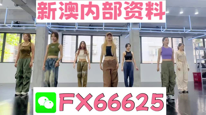 新澳一肖，探索與解析，新澳一肖，深度探索與解析