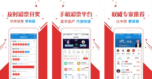 王中王玄機平特一肖中特，探索背后的奧秘與策略，王中王玄機，背后奧秘與策略探索