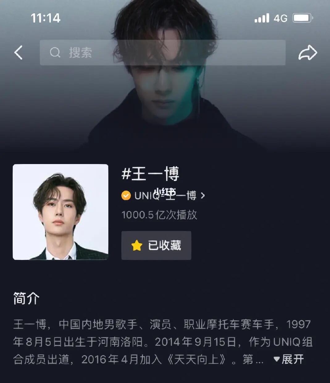 王中王一肖內部資料詳解，王中王一肖內部資料深度解析