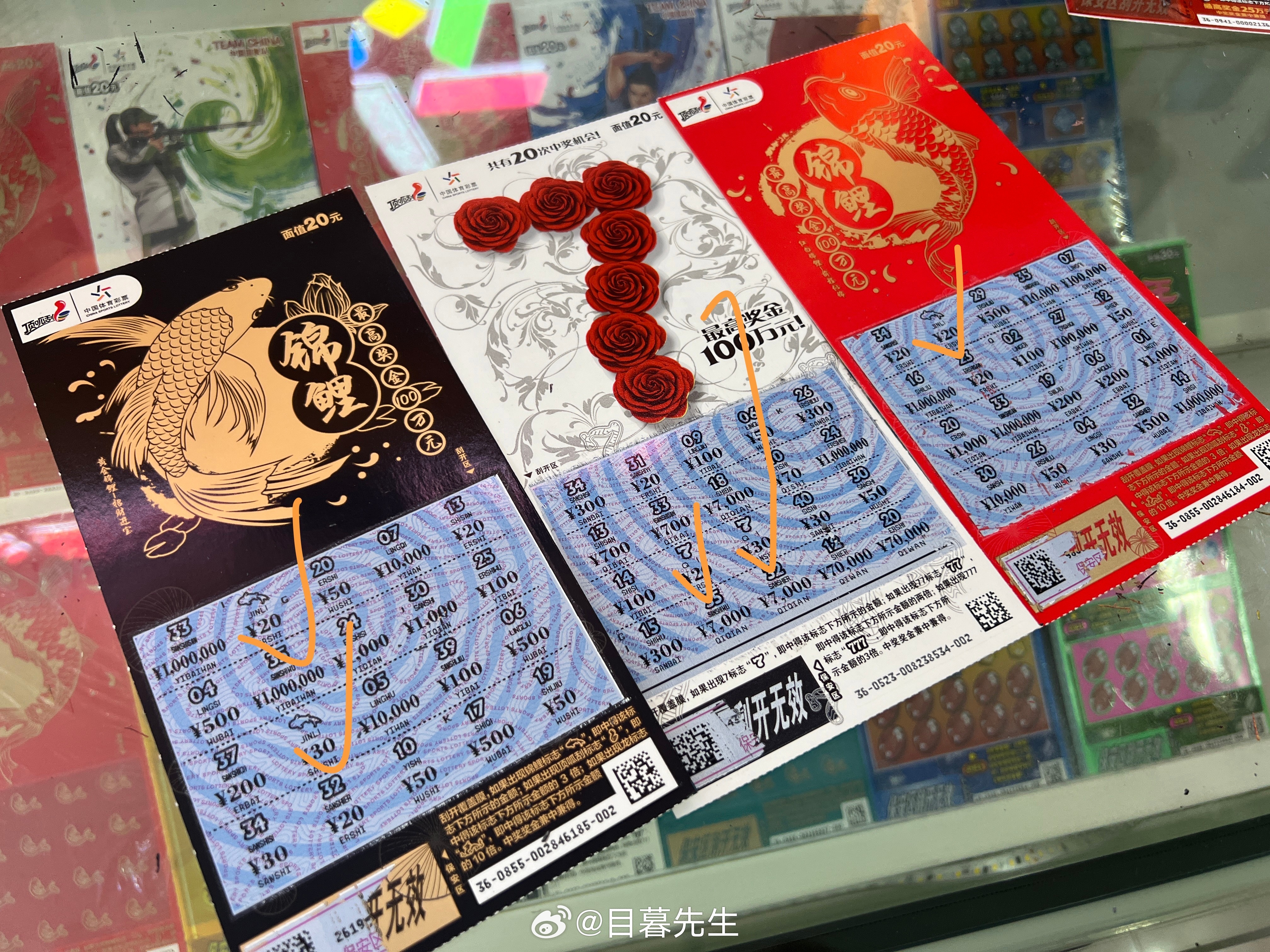 全年王中王一肖中特，深度解析與預(yù)測(cè)，全年王中王一肖深度解析與預(yù)測(cè)，揭秘特肖趨勢(shì)