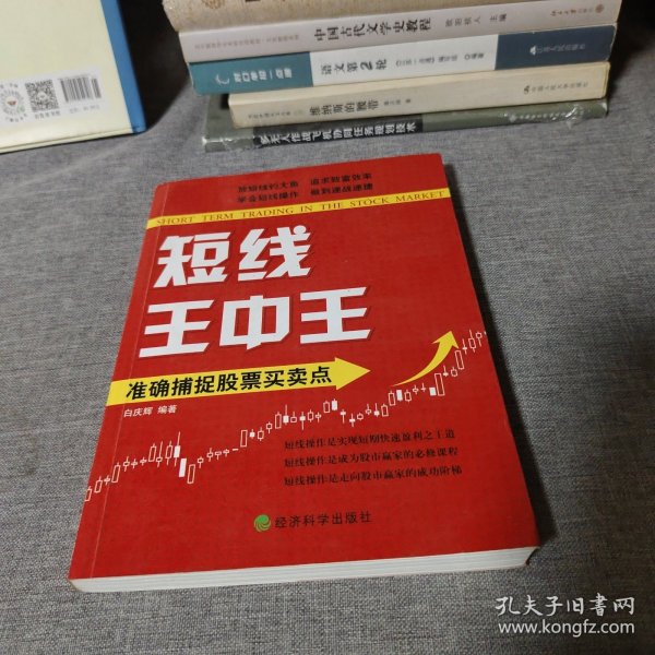 王中王平特一肖中的奧秘與探索，王中王平特一肖的奧秘與探索之旅