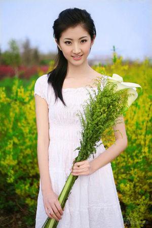 新澳門(mén)生肖走勢(shì)圖精準(zhǔn)版，解讀與SEO策略，新澳門(mén)生肖走勢(shì)圖精準(zhǔn)解讀與SEO策略揭秘