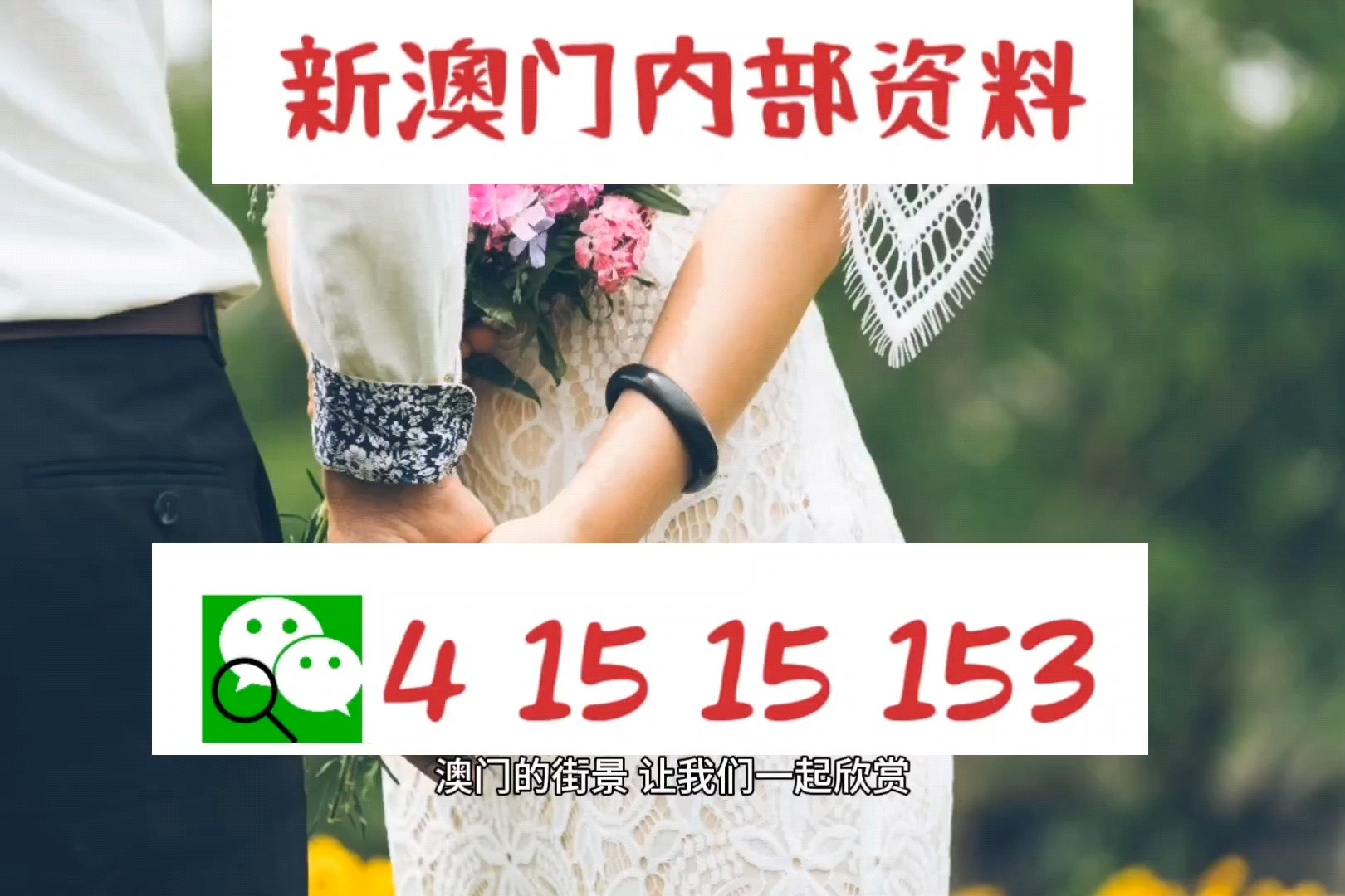 新澳精準(zhǔn)正版資料免費，探索與獲取指南，新澳正版資料免費探索與獲取指南
