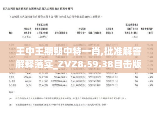 王中王一肖期期中，揭秘背后的秘密與策略，揭秘王中王一肖期期中的秘密策略與成功之道