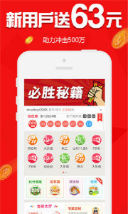 王中王欲錢請猜一肖，揭秘生肖之謎與SEO策略，揭秘生肖之謎與SEO策略，王中王欲錢請猜一肖的奧秘