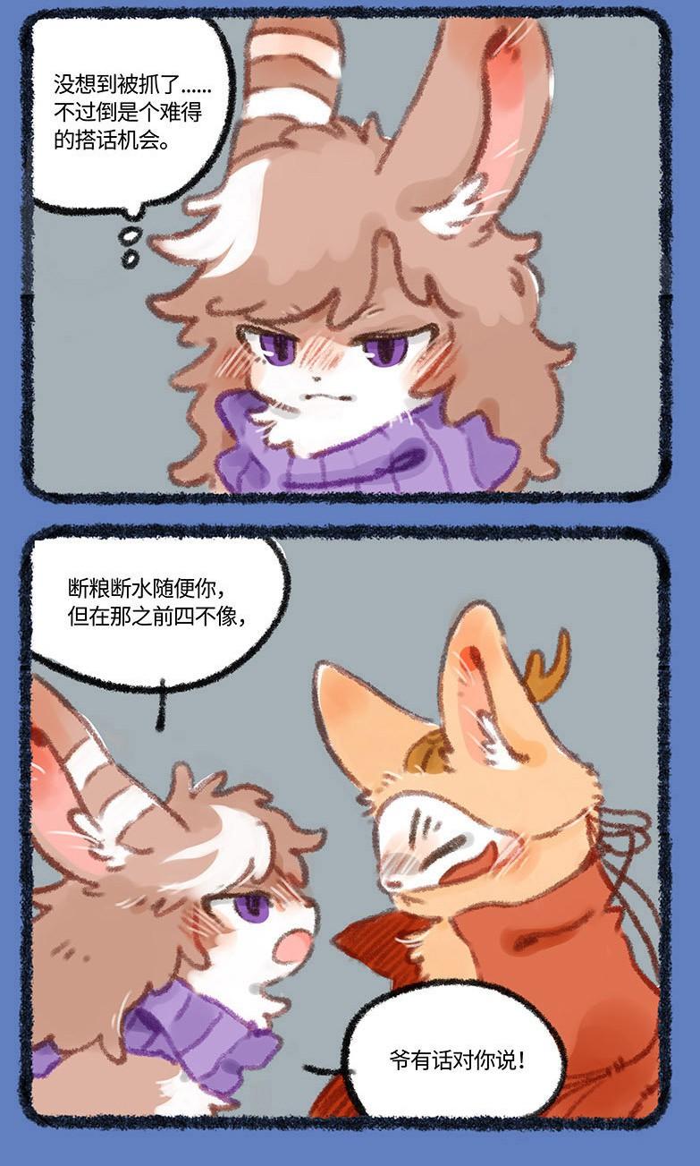 今天正版四不像，深度解析一種獨(dú)特的文化現(xiàn)象，深度解析，正版四不像——獨(dú)特的文化現(xiàn)象探究