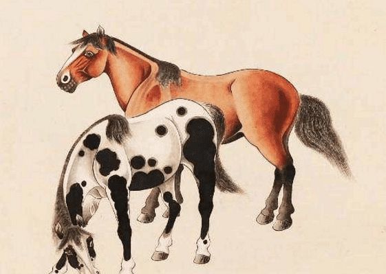 馬一王中王特平一肖圖，深度解析與SEO優(yōu)化策略，深度解析馬一王中王特平肖圖，SEO優(yōu)化策略探討