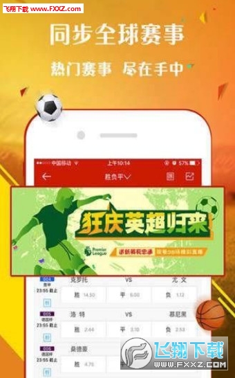 王中王一肖，探尋背后的故事與影響力（2019年），王中王一肖，背后的故事與影響力揭秘（2019年）