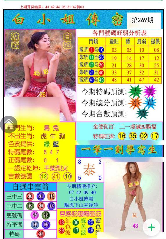 揭秘白小姐與王中王平持一肖的神秘面紗，白小姐與王中王，揭秘神秘生肖預(yù)測(cè)面紗