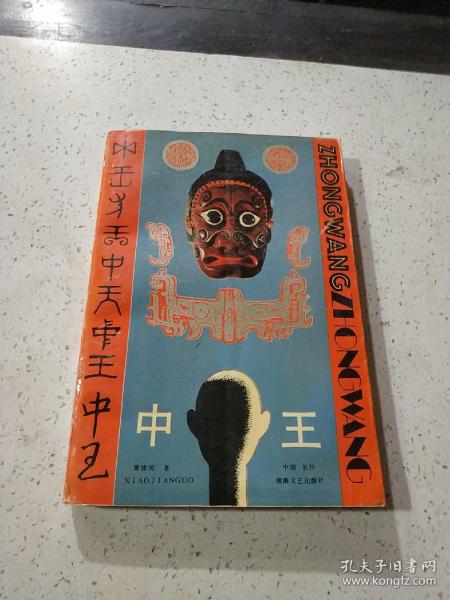 王中王資料與肖中特，深度解析，王中王資料與肖中特深度剖析