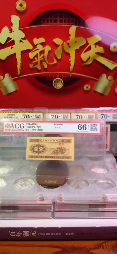 王中王廣東一肖，探尋背后的故事與奧秘，王中王廣東一肖，背后的故事與奧秘探尋