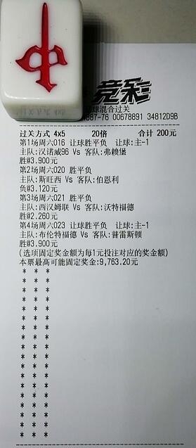 揭秘買一肖中獎(jiǎng)的賠率與風(fēng)險(xiǎn)，你真的準(zhǔn)備好了嗎？，揭秘買一肖中獎(jiǎng)背后的賠率與風(fēng)險(xiǎn)，你真的做好準(zhǔn)備了嗎？