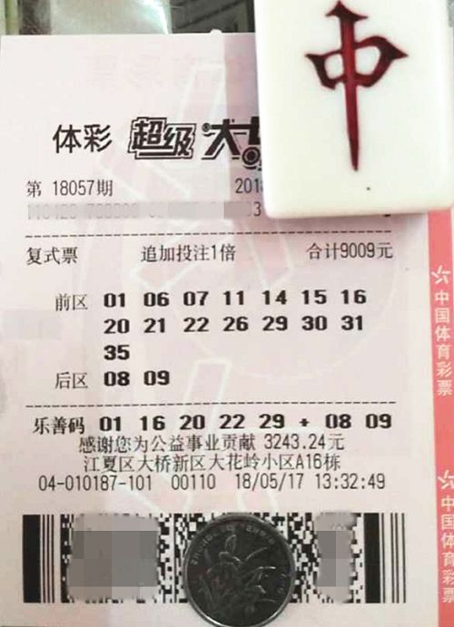 澳門六開彩天天開獎(jiǎng)結(jié)果查詢，輕松掌握最新動(dòng)態(tài)，澳門六開彩最新開獎(jiǎng)結(jié)果查詢，輕松掌握每日動(dòng)態(tài)