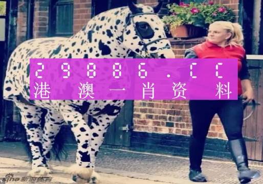 香港王中王一肖一特一中，揭秘背后的故事與秘密，香港王中王一肖一特一中，揭秘背后的神秘故事與傳奇
